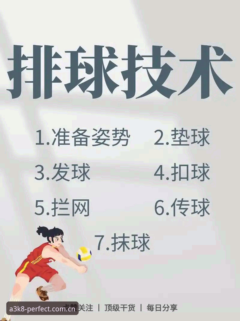 新手必看：完美体育娱乐平台实用入门指南与必备知识